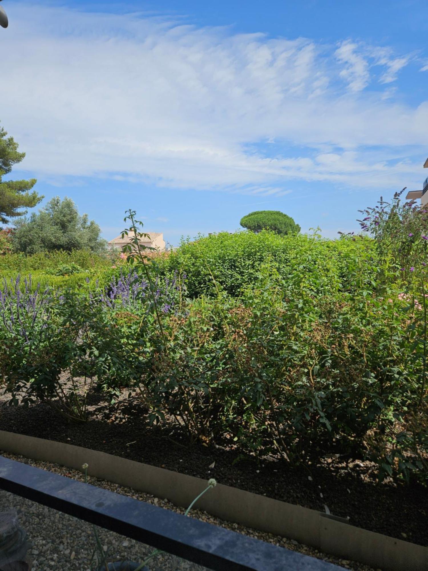 Via Center Bat A Apartment Frejus Bagian luar foto